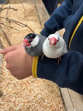 いきもの探検隊湘南に投稿された画像（2026/1/4）