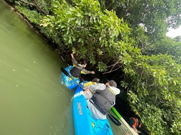 沖縄海うさぎ・海あしびに投稿された画像（2026/1/4）