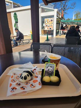 恩賜上野動物園に投稿された画像（2026/1/4）