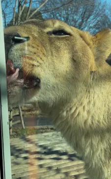 東京動物園協会_多摩動物公園に投稿された画像（2026/1/4）