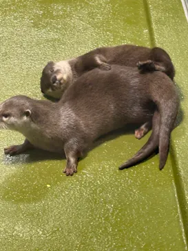 竹島水族館に投稿された画像（2026/1/4）