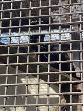 宇都宮動物園に投稿された画像（2026/1/4）