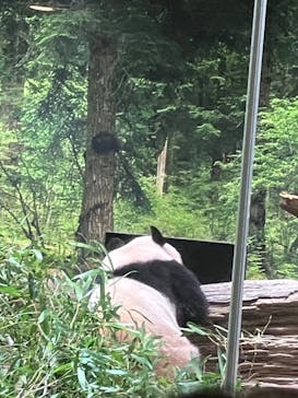 恩賜上野動物園に投稿された画像（2026/1/4）