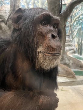 天王寺動物園に投稿された画像（2026/1/4）