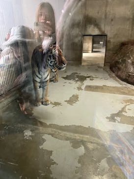 天王寺動物園に投稿された画像（2026/1/4）