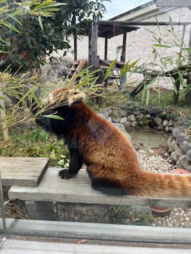 天王寺動物園に投稿された画像（2026/1/4）