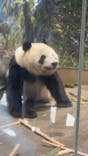 恩賜上野動物園に投稿された画像（2026/1/4）