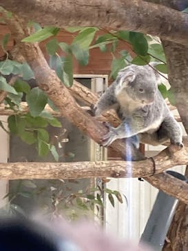こども動物自然公園（埼玉県公園緑地協会）に投稿された画像（2026/1/4）