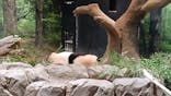 恩賜上野動物園に投稿された画像（2026/1/4）