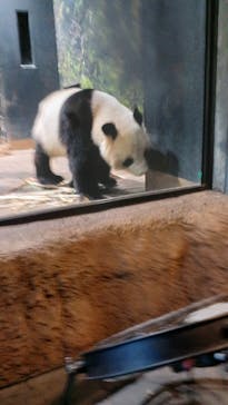 恩賜上野動物園に投稿された画像（2026/1/4）