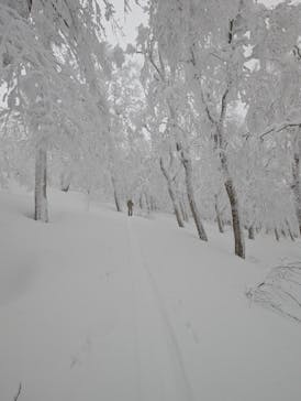 Spur akita mountain guideに投稿された画像（2026/1/4）