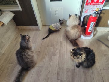 つくばわんわんランドに投稿された画像（2026/1/4）