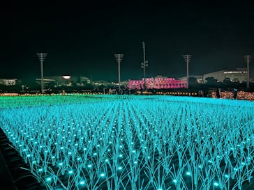 東京メガイルミに投稿された画像（2026/1/4）