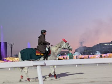 東京メガイルミに投稿された画像（2026/1/4）