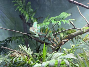 名古屋市東山動植物園に投稿された画像（2026/1/4）