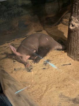 名古屋市東山動植物園に投稿された画像（2026/1/4）