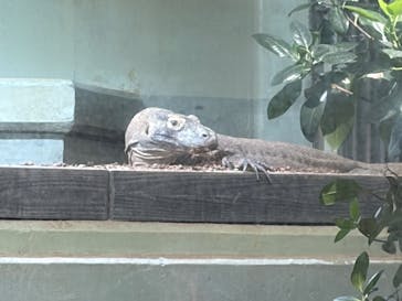 名古屋市東山動植物園に投稿された画像（2026/1/4）