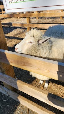 まかいの牧場に投稿された画像（2026/1/4）