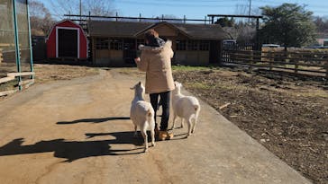 まかいの牧場に投稿された画像（2026/1/4）