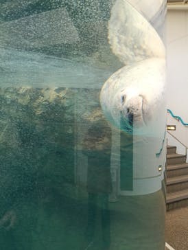 京都水族館に投稿された画像（2026/1/4）