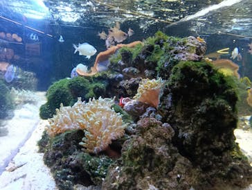 京都水族館に投稿された画像（2026/1/4）