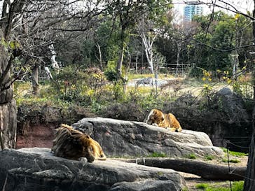 天王寺動物園に投稿された画像（2026/1/4）