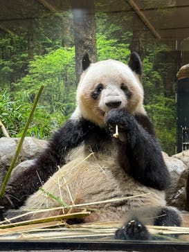 恩賜上野動物園に投稿された画像（2026/1/4）