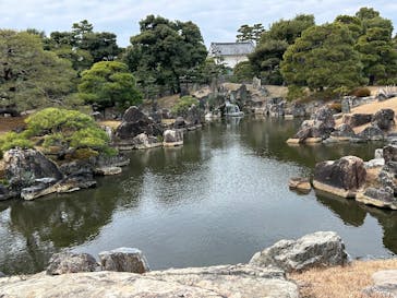 元離宮二条城に投稿された画像（2026/1/4）