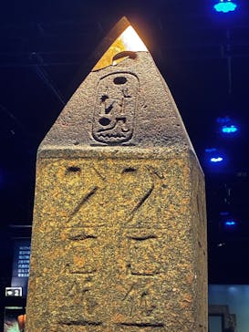 ACN ラムセス大王展 ファラオたちの黄金に投稿された画像（2026/1/4）