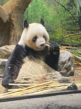 恩賜上野動物園に投稿された画像（2026/1/4）