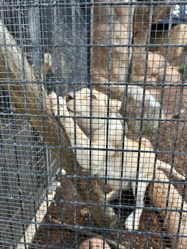 沖縄こどもの国に投稿された画像（2026/1/4）