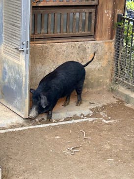 沖縄こどもの国に投稿された画像（2026/1/4）