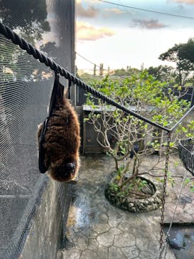 沖縄こどもの国に投稿された画像（2026/1/4）