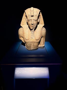 ACN ラムセス大王展 ファラオたちの黄金に投稿された画像（2026/1/4）