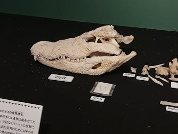 国立科学博物館に投稿された画像（2026/1/4）