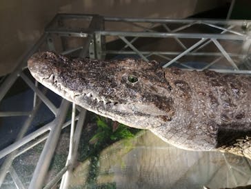 国立科学博物館に投稿された画像（2026/1/4）