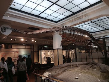 国立科学博物館に投稿された画像（2026/1/4）