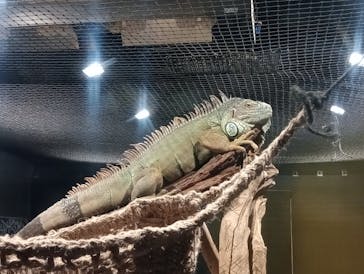 カワスイ 川崎⽔族館に投稿された画像（2026/1/4）