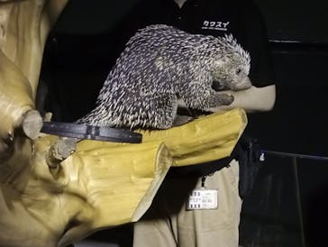 カワスイ 川崎⽔族館に投稿された画像（2026/1/4）