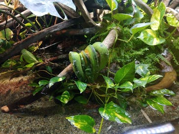 カワスイ 川崎⽔族館に投稿された画像（2026/1/4）