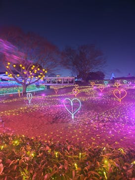 みろくの里に投稿された画像（2026/1/4）