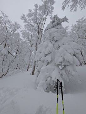 Spur akita mountain guideに投稿された画像（2026/1/4）