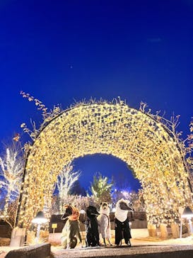 いばらきフラワーパークに投稿された画像（2026/1/4）