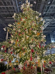 安城産業文化公園デンパークに投稿された画像（2026/1/4）