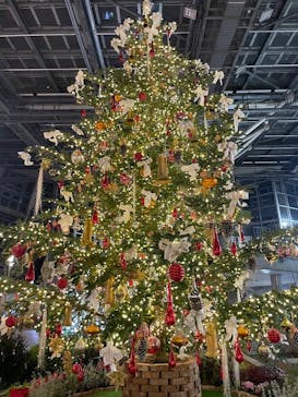 安城産業文化公園デンパークに投稿された画像（2026/1/4）