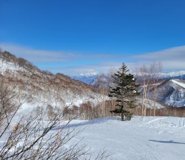 かぐらスキー場に投稿された画像（2026/1/4）