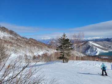 かぐらスキー場に投稿された画像（2026/1/4）