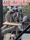 伊豆シャボテン動物公園に投稿された画像（2026/1/4）