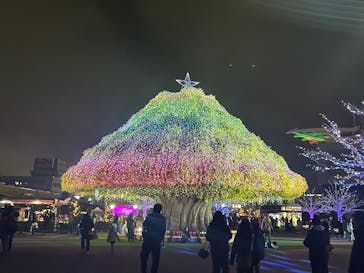 東京メガイルミに投稿された画像（2026/1/4）