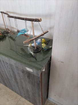 Moff animal world BIGHOPガーデンモール印西店に投稿された画像（2026/1/4）